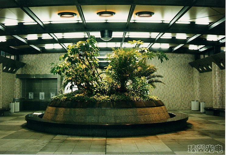 光導(dǎo)照明，光纖照明，室內(nèi)植物照射